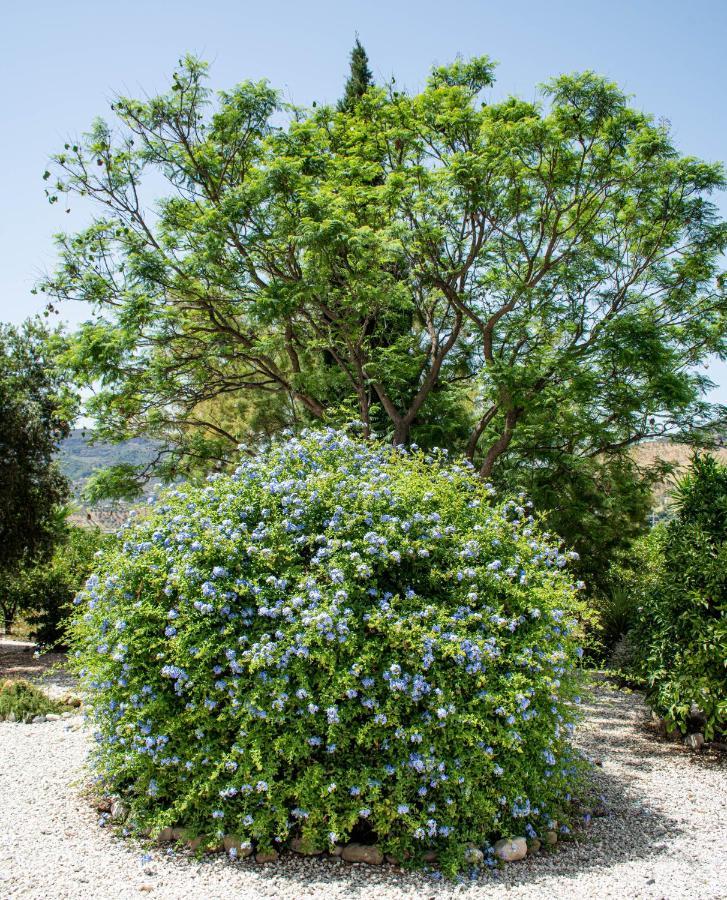 Finca El Limonar Alora Exterior photo